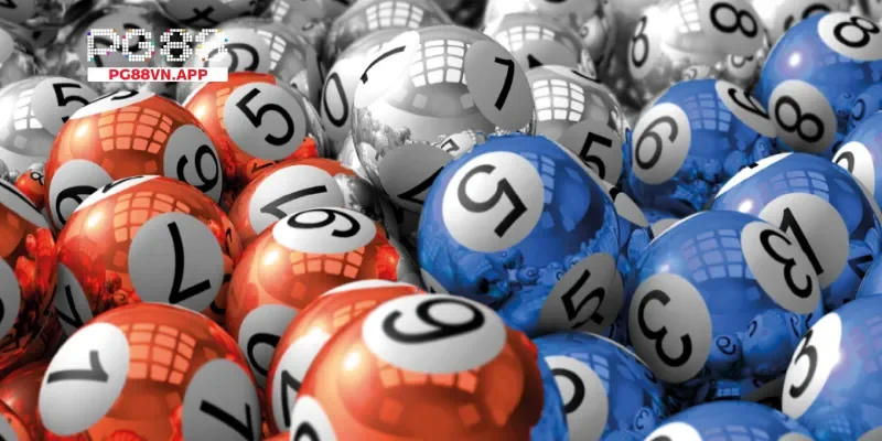 Hiểu rõ về nuôi lô và tầm quan trọng của chiến lược cách nuôi lô hiệu quả